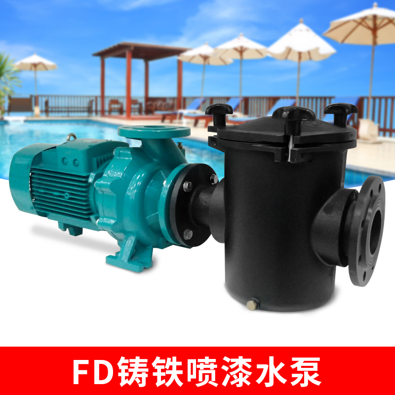FD铁泵