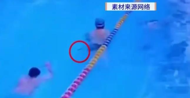 泳池便溺