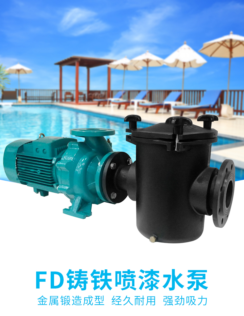 FD铁泵